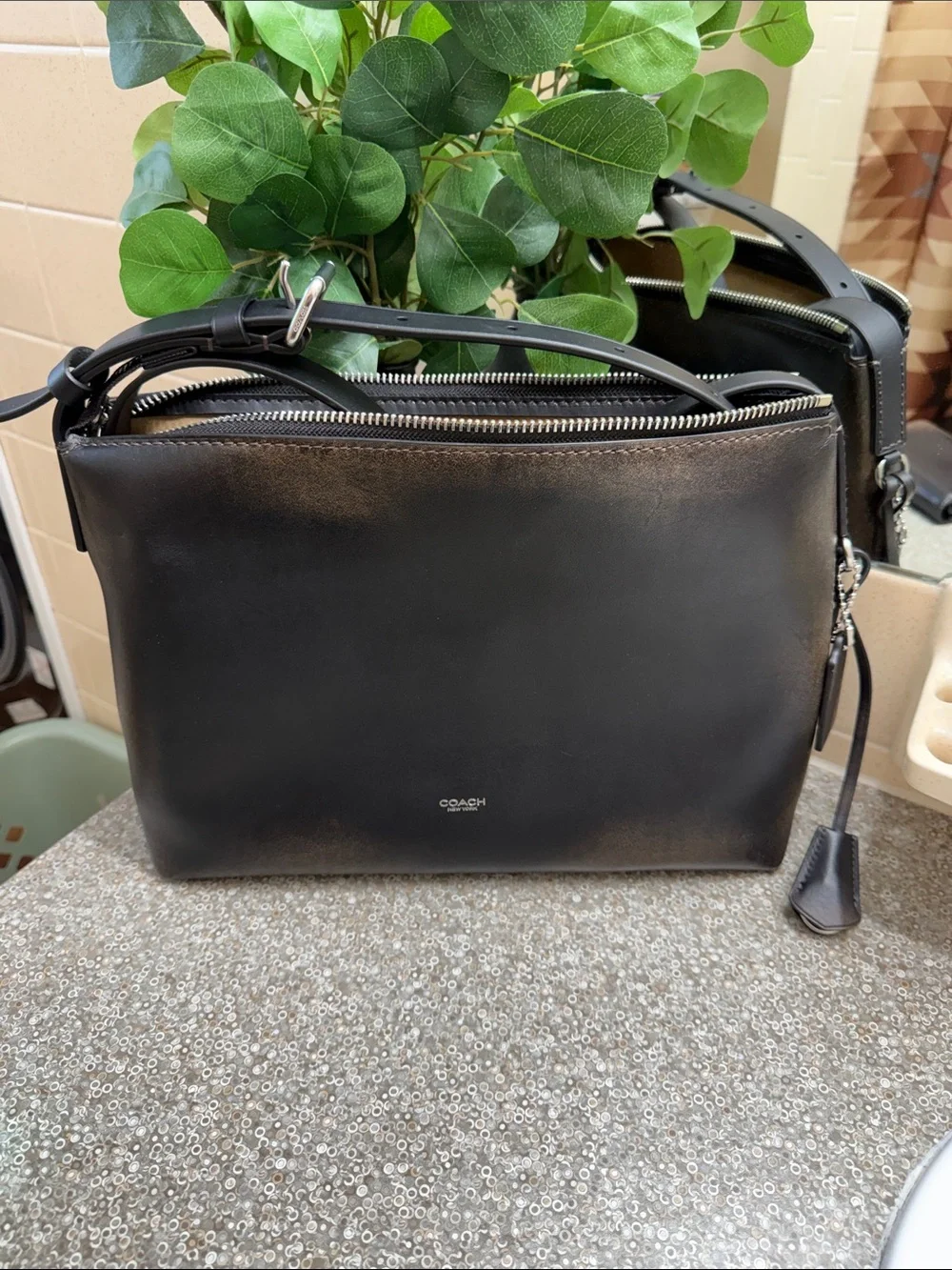 Coach men’s or